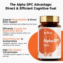 alpha-gpc-600mg-bioavailable-choline-sup-3.jpg