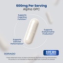 alpha-gpc-choline-capsules-120-count-600-4.jpg