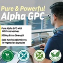 alpha-gpc-supplement-500mg-supports-memo-5.jpg
