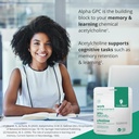 acetylcholine-supplements-for-brain-heal-5.jpg