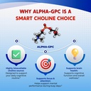 ultra-alpha-gpc-phosphatidylserine-uridi-5.jpg