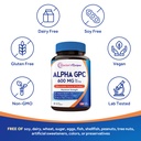 doctor-s-recipes-alpha-gpc-choline-suppl-5.jpg