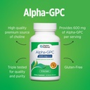 doctors-preferred-alpha-gpc-supplement-p-5.jpg