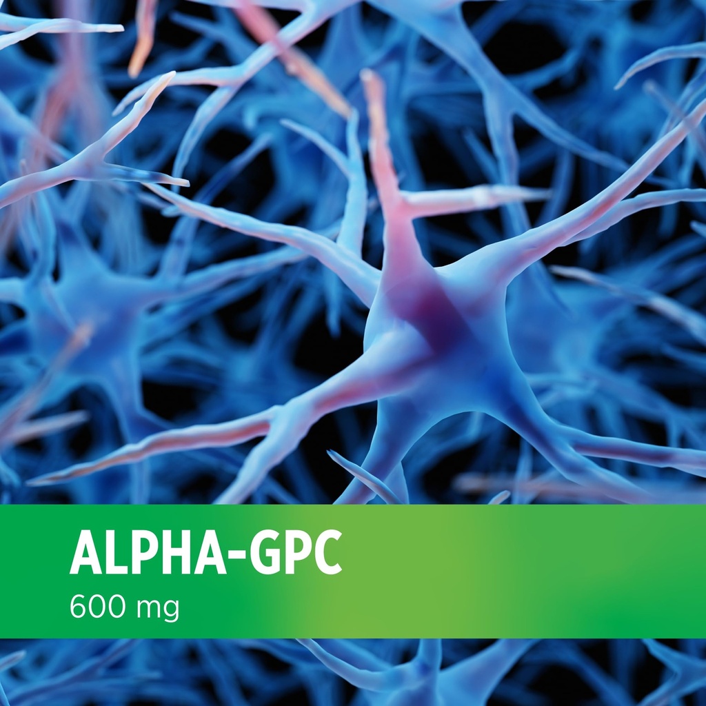 doctors-preferred-alpha-gpc-supplement-p-6.jpg