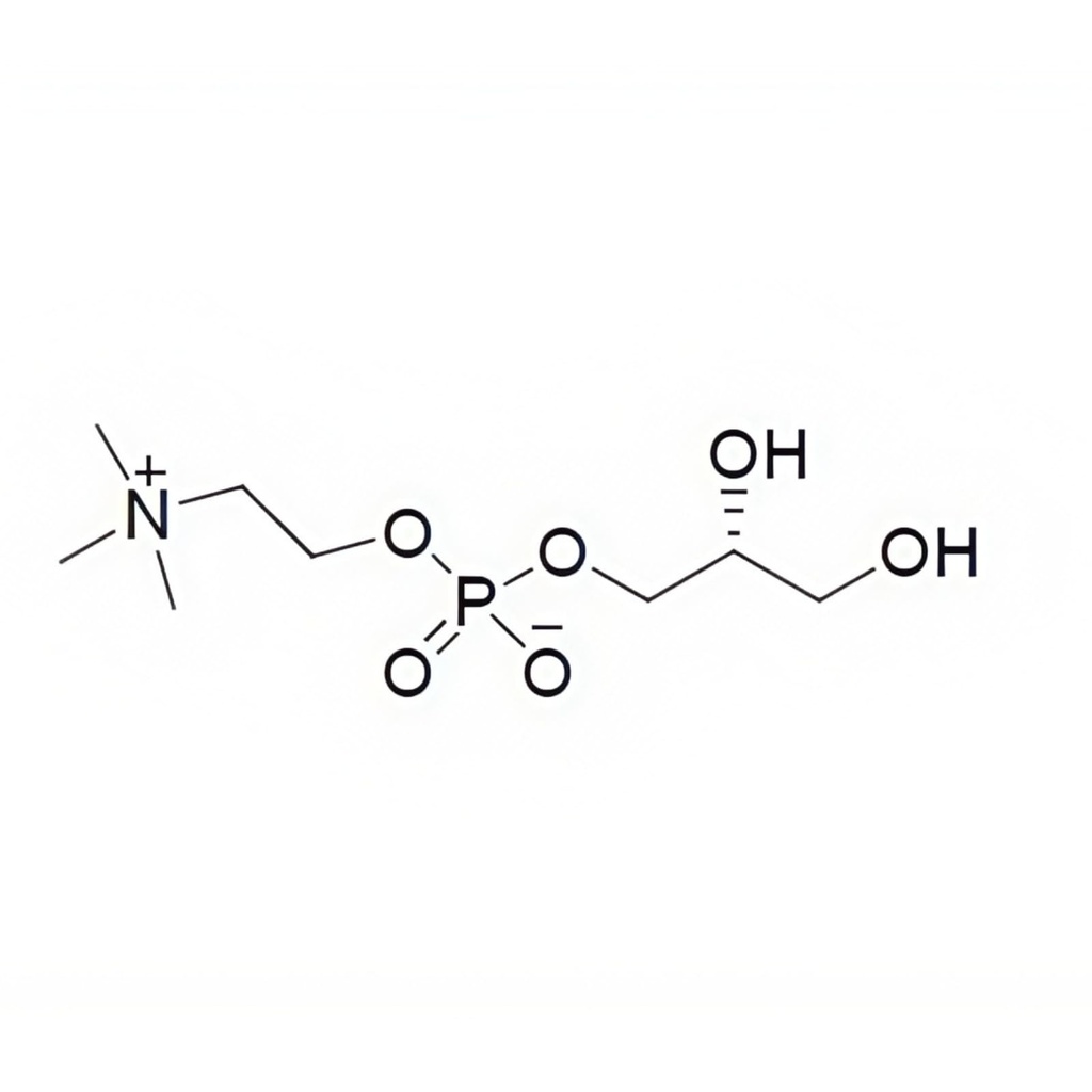alpha-gpc-powder-choline-supplements-50--5.jpg
