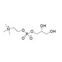 alpha-gpc-powder-choline-supplements-50--5.jpg