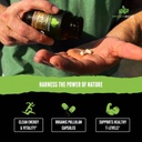 organic-muscle-tongkat-ali-for-men-500mg-4.jpg