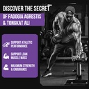 2400mg-fadogia-agrestis-tongkat-ali-supp-5.jpg