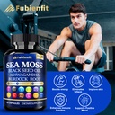 organic-sea-moss-capsules-contain-seamos-5.jpg
