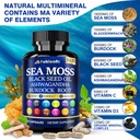 organic-sea-moss-capsules-contain-seamos-3.jpg