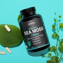 spartis-certified-organic-sea-moss-capsu-4.jpg