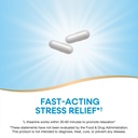 nature-s-way-l-theanine-stress-support-p-3.jpg