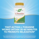 nature-s-way-l-theanine-stress-support-p-4.jpg