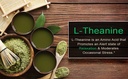 smarter-l-theanine-250mg-supplement-in-n-6.jpg