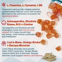 11-in-1-brain-supplement-for-memory-and--3.jpg