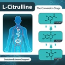 abyssus-l-citrulline-gummies-for-men-300-6.jpg