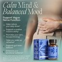 bioma-anti-stress-probiotics-3-in-1-gut--2.jpg