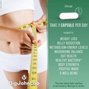 bigjohnlab-probiotics-for-weight-managem-5.jpg