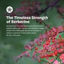 earth-s-splendor-berberine-500mg-capsule-5.jpg