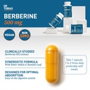dr-tobias-berberine-500mg-berberine-supp-3.jpg