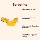 micro-ingredients-berberine-hcl-with-cey-2.jpg
