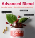 berberine-supplement-non-gmo-vegetarian--2.jpg