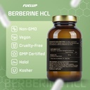 berberine-hcl-500-mg-herbal-supplement-w-3.jpg