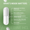 berberine-hcl-500-mg-herbal-supplement-w-5.jpg