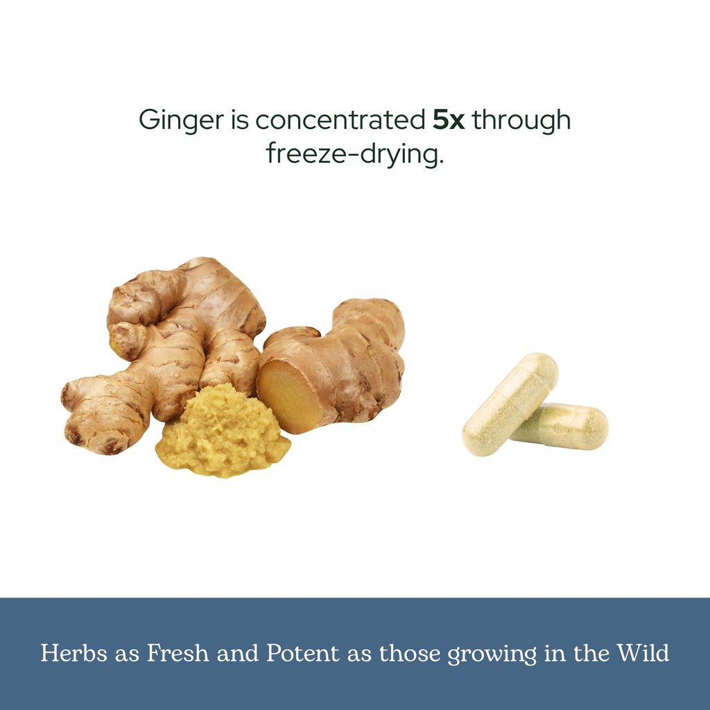 eclectic-herb-ginger-capsules-antioxidan-6.jpg