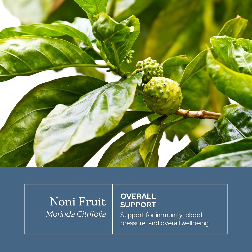 eclectic-herb-noni-capsules-antioxidant--3.jpg