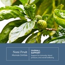 eclectic-herb-noni-capsules-antioxidant--3.jpg
