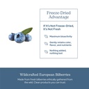 eclectic-herb-bilberry-capsules-vision-h-5.jpg
