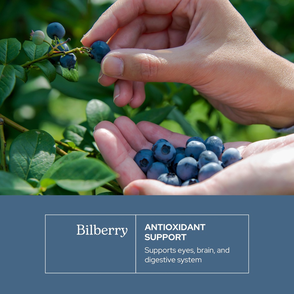 eclectic-herb-bilberry-capsules-vision-h-3.jpg