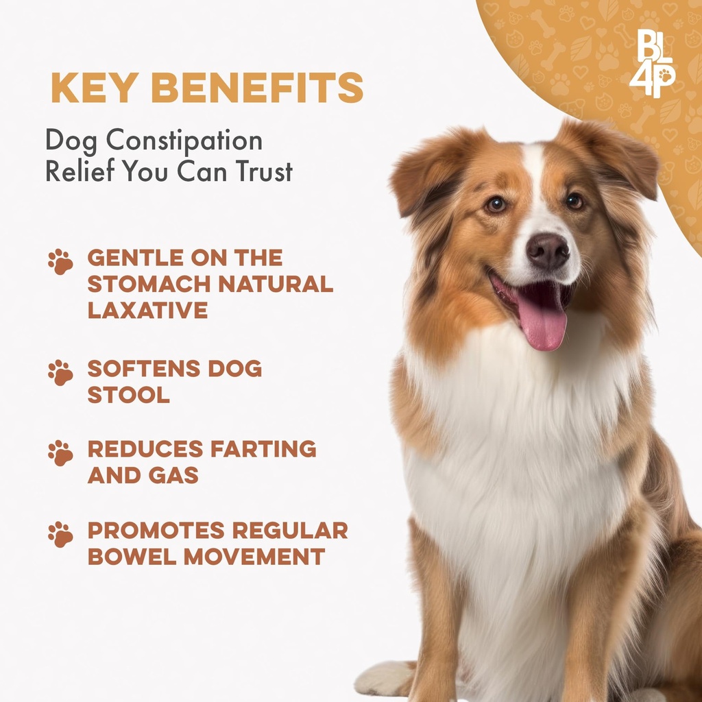 dog-laxative-constipation-relief-dog-sto-2.jpg
