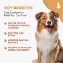 dog-laxative-constipation-relief-dog-sto-2.jpg