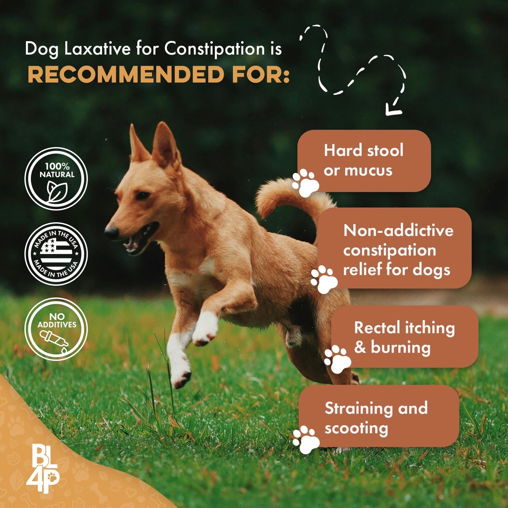 dog-laxative-constipation-relief-dog-sto-4.jpg