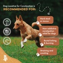 dog-laxative-constipation-relief-dog-sto-4.jpg