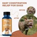dog-laxative-constipation-relief-dog-sto-3.jpg