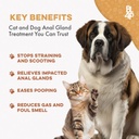 dog-laxative-constipation-relief-dog-sto-6.jpg