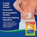 salonpas-hot-capsicum-patch-3-count-pack-5.jpg