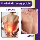 relief-night-patch-8-pack-arnica-white-w-3.jpg