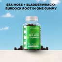 vitamatic-irish-sea-moss-gummies-with-bl-6.jpg