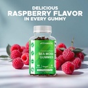 vitamatic-irish-sea-moss-gummies-with-bl-5.jpg