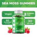 vitamatic-irish-sea-moss-gummies-with-bl-3.jpg