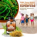 sea-moss-capsules-with-burdock-root-blad-4.jpg