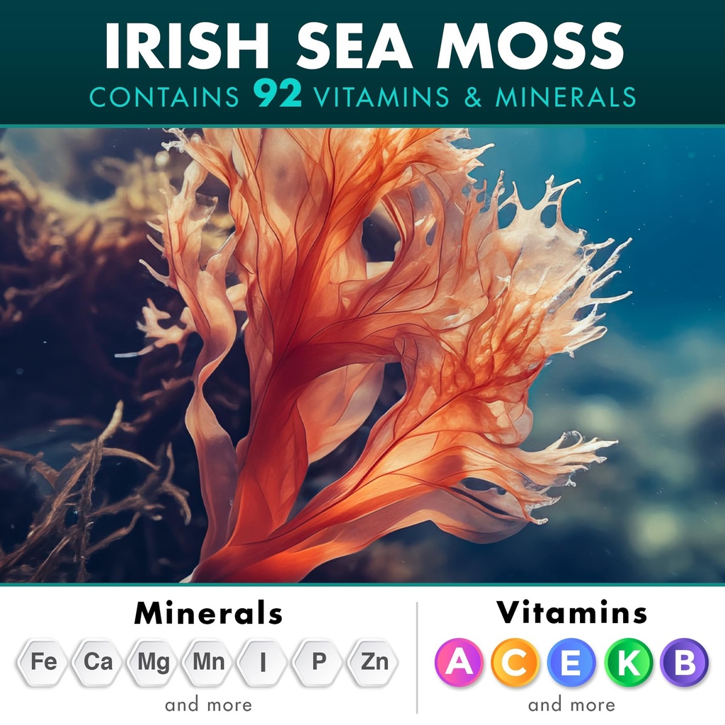 secret-element-irish-sea-moss-black-seed-2.jpg