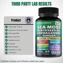 organic-sea-moss-capsules-organic-irish--6.jpg