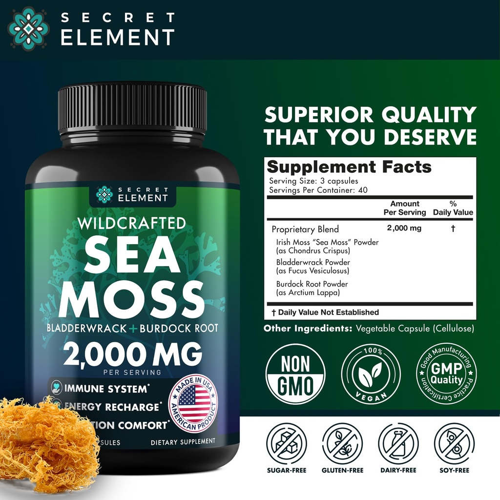 sea-moss-bundle-wildcrafted-irish-sea-mo-6.jpg