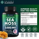 sea-moss-bundle-wildcrafted-irish-sea-mo-6.jpg