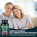 sea-moss-capsules-with-sea-moss-black-se-5.jpg